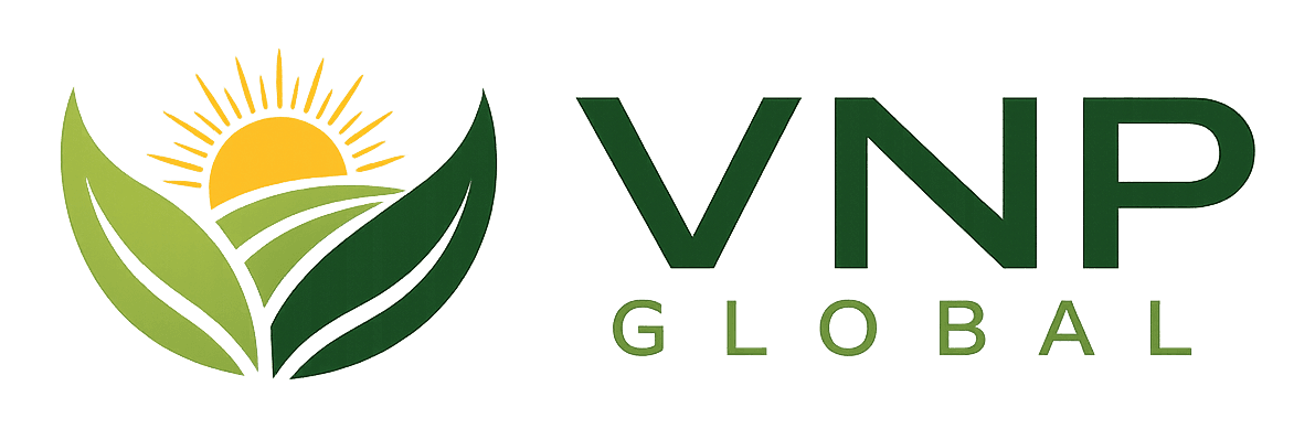 VNP Global Private Limited